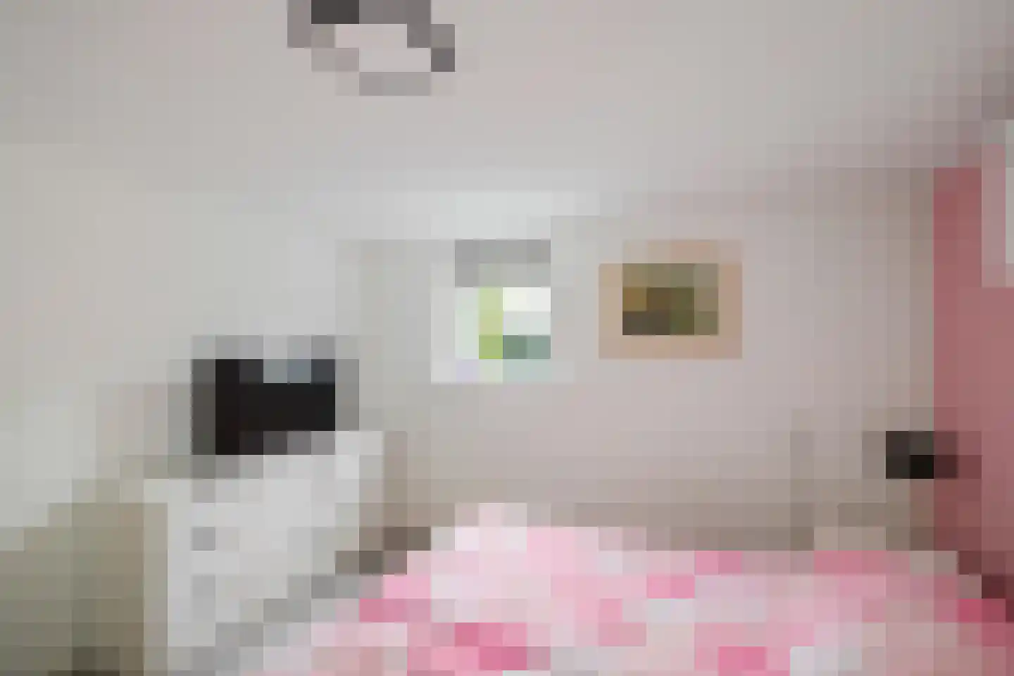 Hoofdstraat 2 Ekehaar thumbnail 26