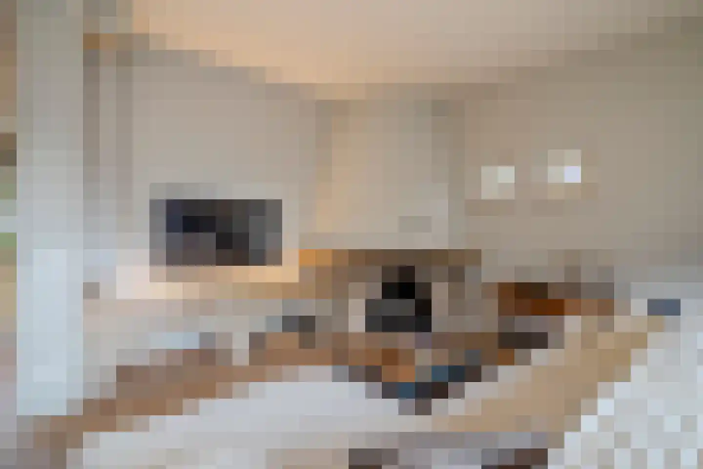 Hoofdstraat 2 Kaatsheuvel thumbnail 11
