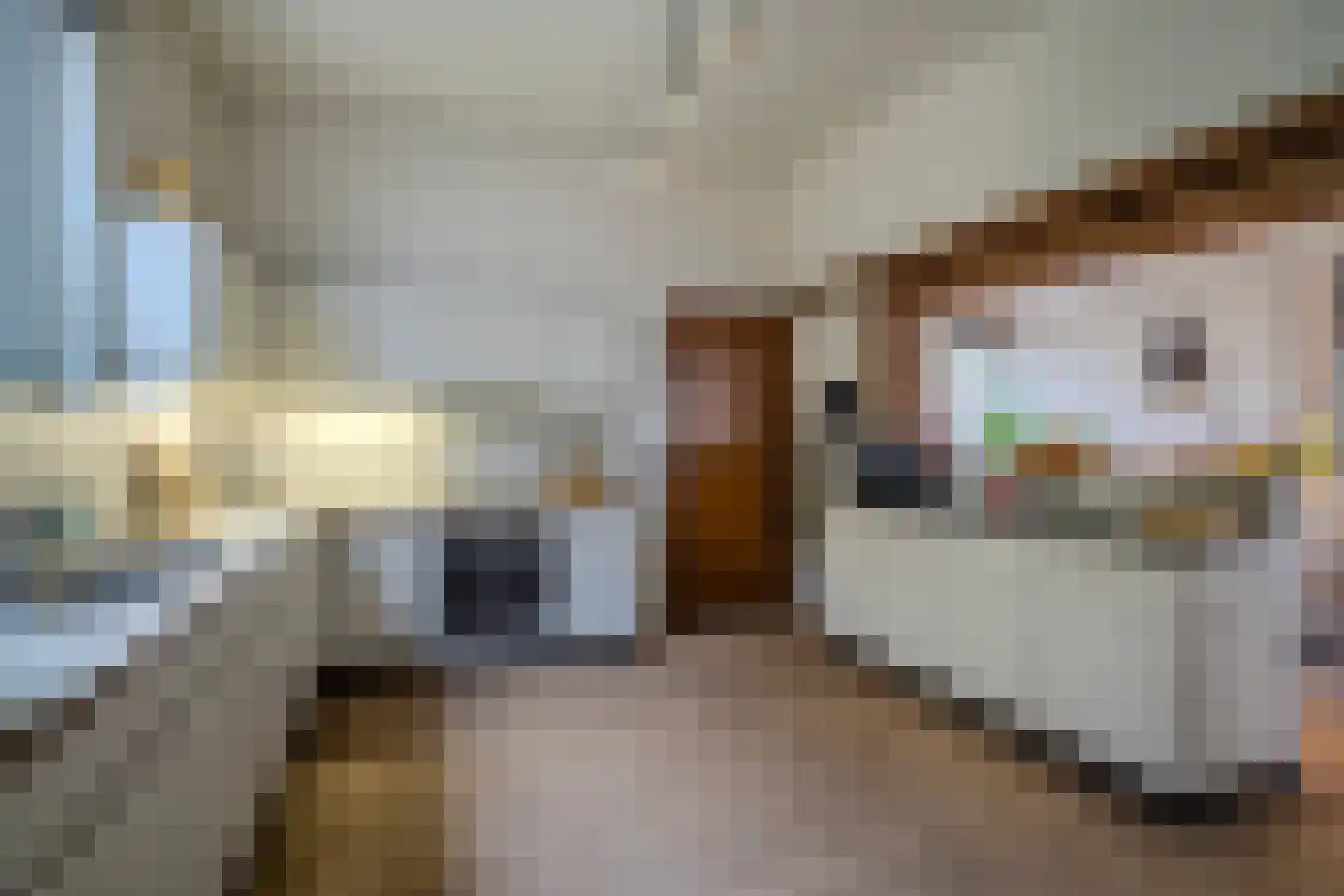 Hoofdstraat 2 Kaatsheuvel thumbnail 20