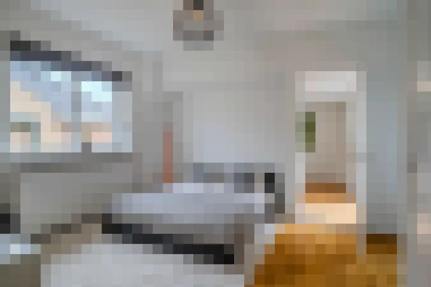 Hoofdstraat 2 Kaatsheuvel thumbnail 36