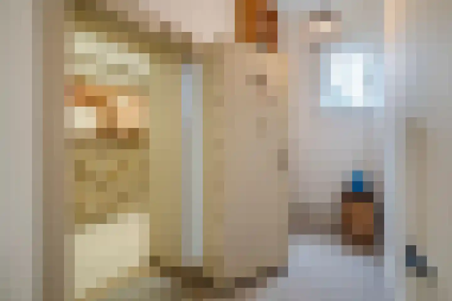 Hoofdstraat 2 Kaatsheuvel thumbnail 4