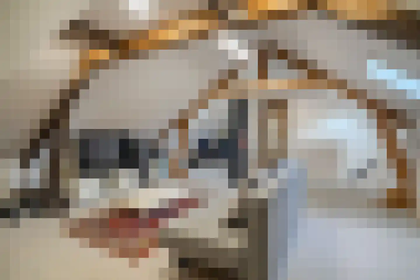 Hoofdstraat 2 Kaatsheuvel thumbnail 50