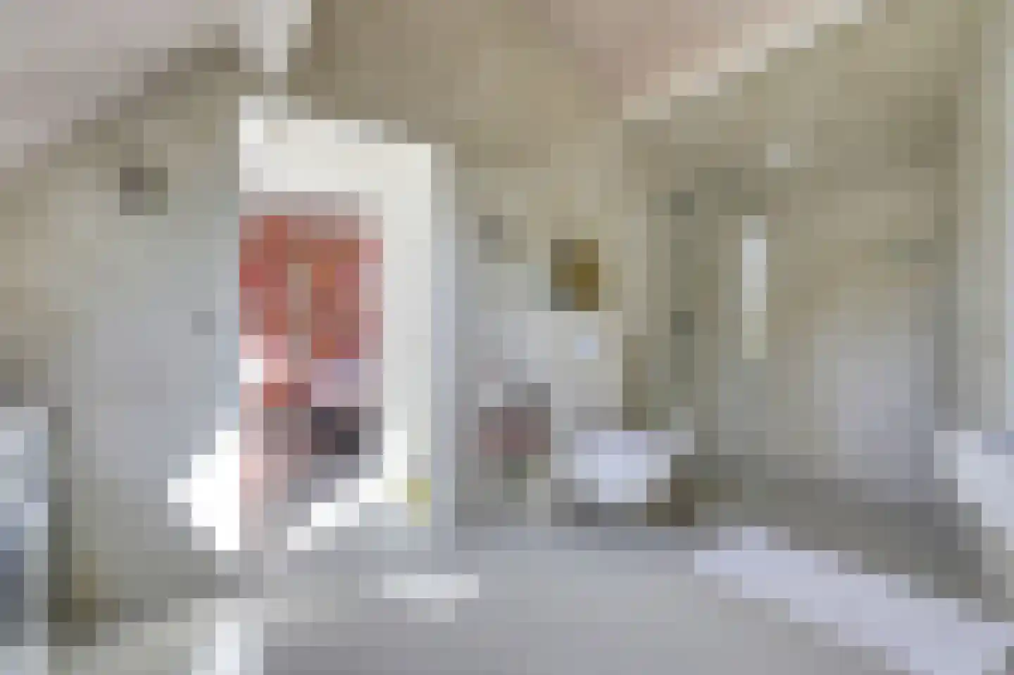 Hoofdstraat 2 Kortgene thumbnail 23