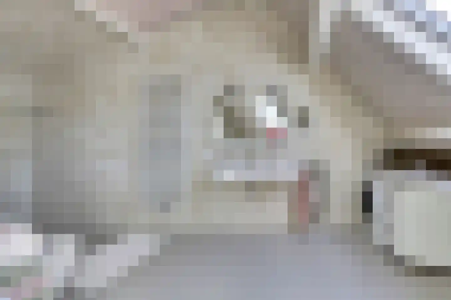 Hoofdstraat 2 Kortgene thumbnail 24
