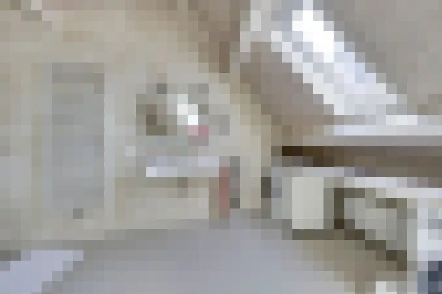 Hoofdstraat 2 Kortgene thumbnail 25