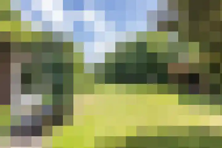 Hoofdstraat 2 Schimmert thumbnail 31