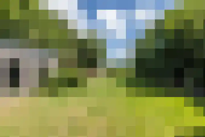 Hoofdstraat 2 Schimmert thumbnail 32
