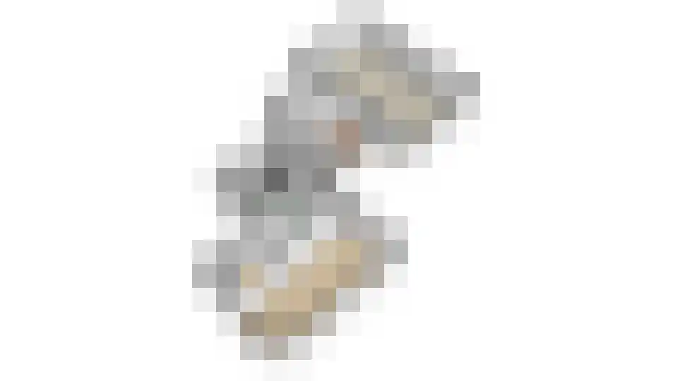Hoofdstraat 2 Voorthuizen thumbnail 47