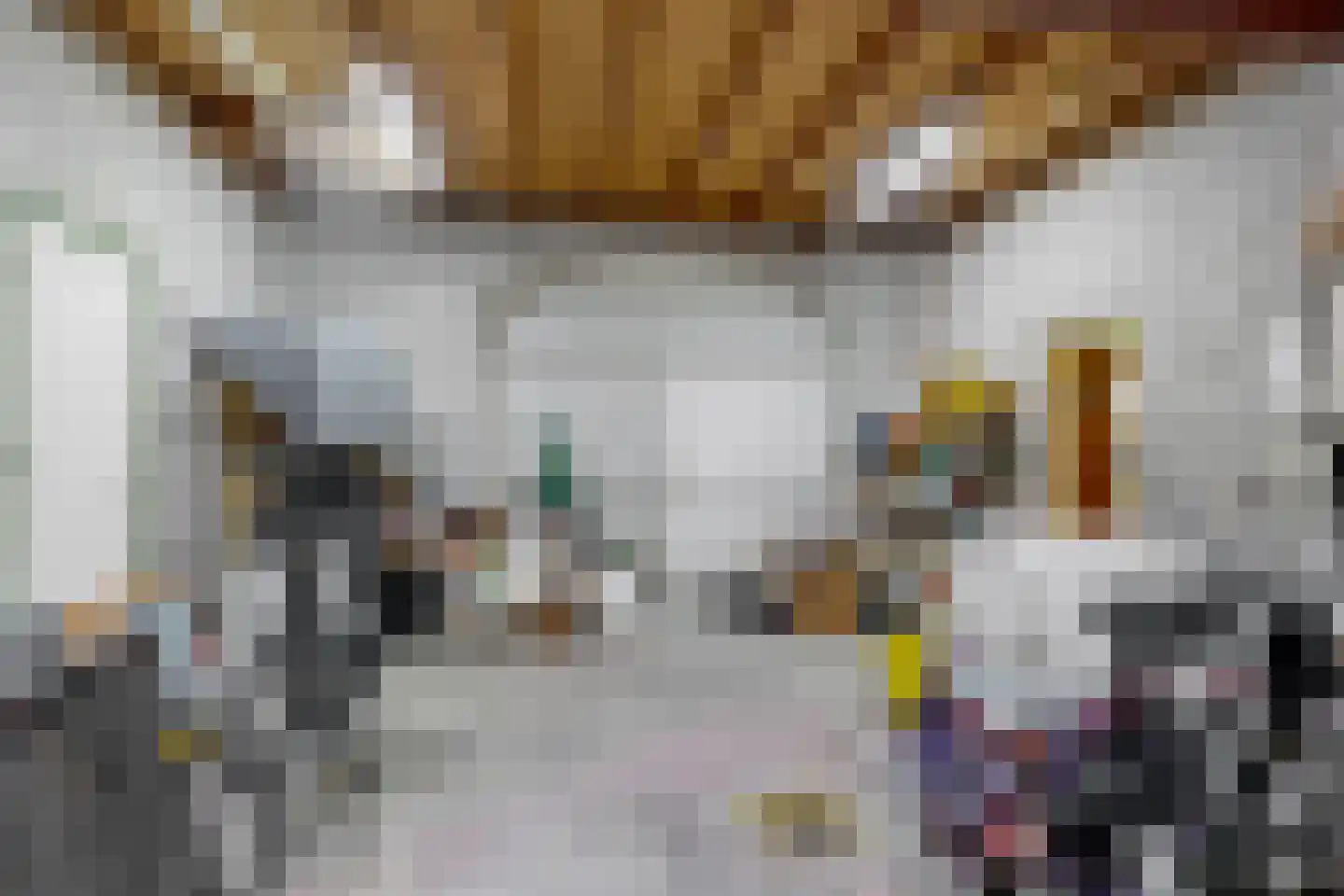 Hoofdstraat 20 Herten thumbnail 18