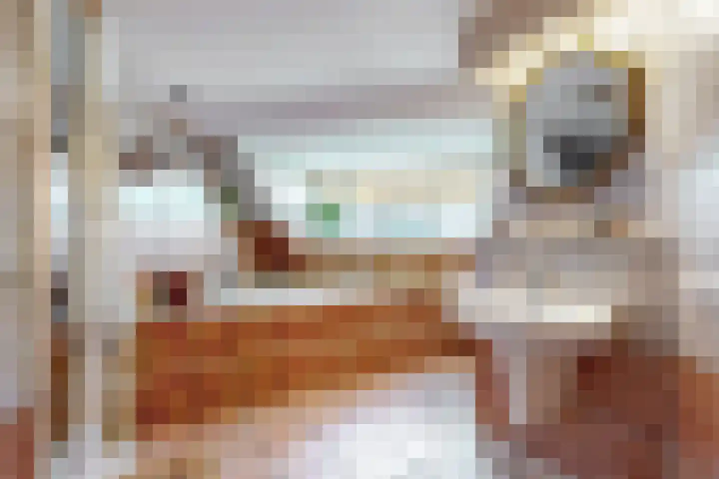 Hoofdstraat 20 Herten thumbnail 29