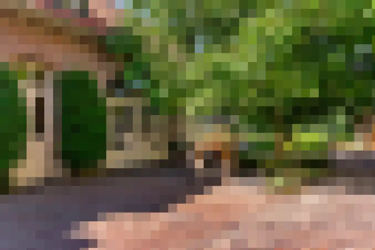 Hoofdstraat 20 Herten thumbnail 37