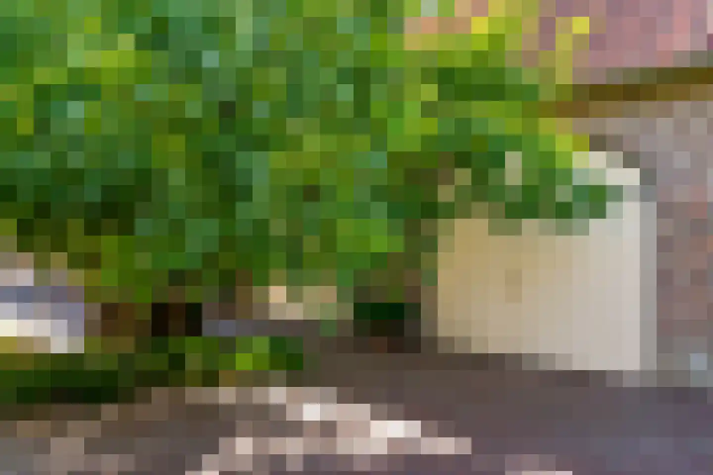 Hoofdstraat 20 Herten thumbnail 38