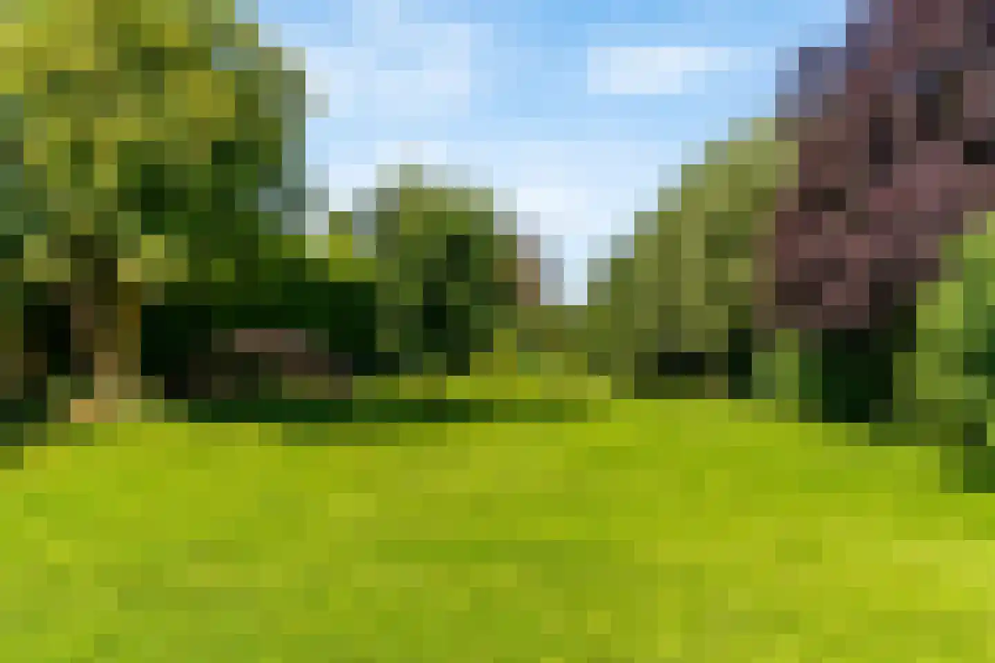 Hoofdstraat 20 Herten thumbnail 43
