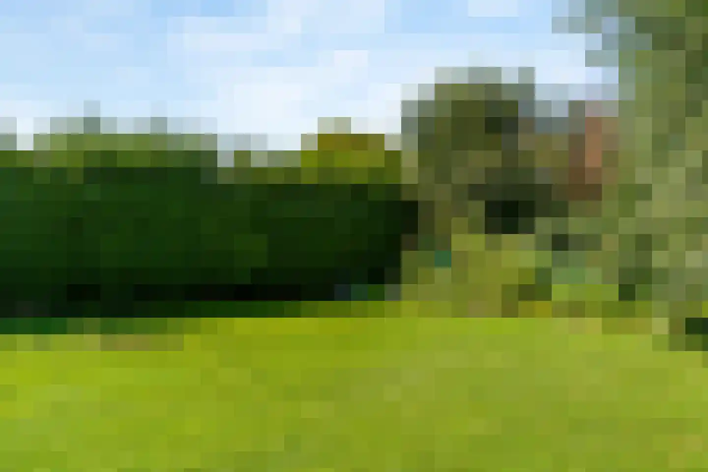 Hoofdstraat 20 Herten thumbnail 44