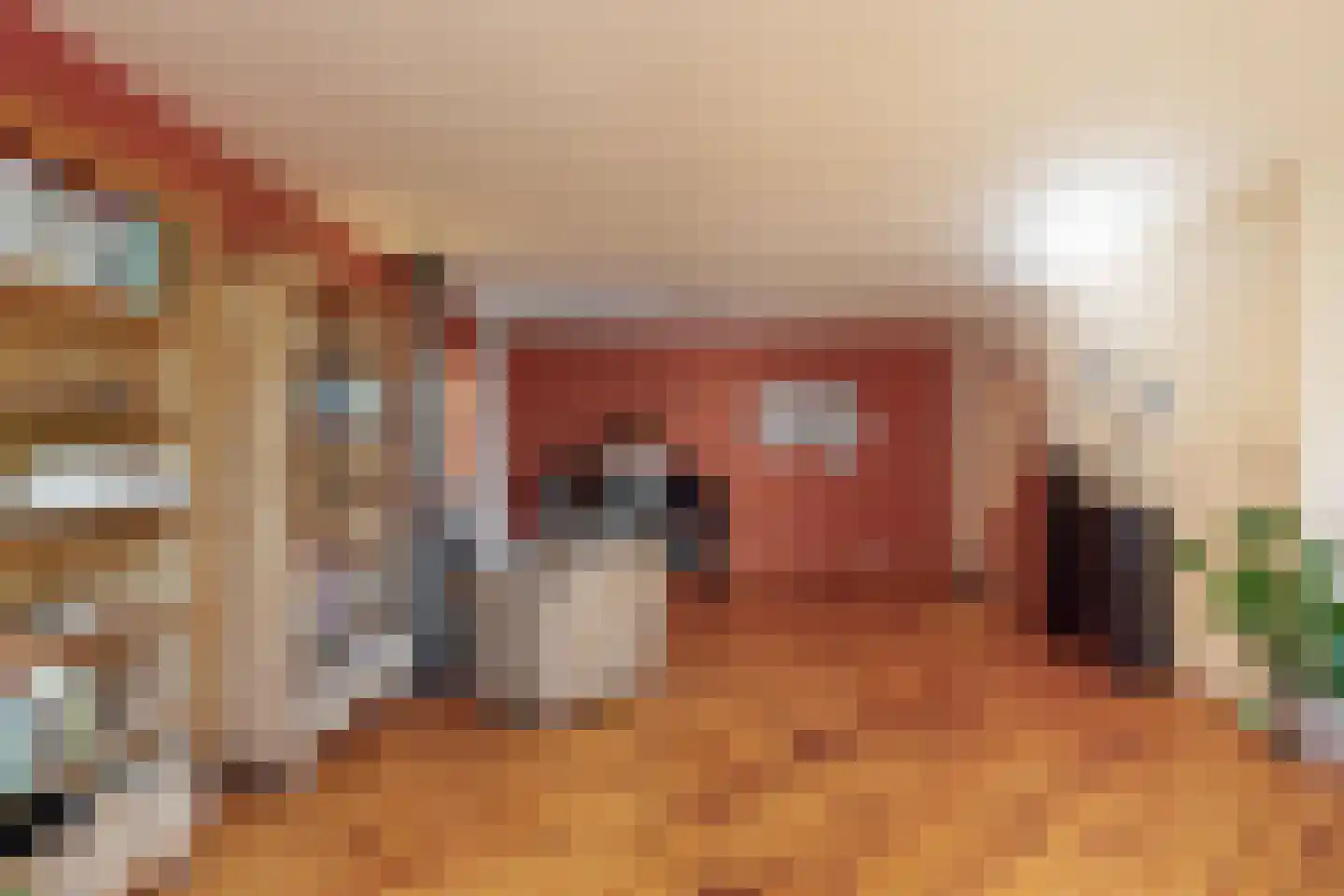 Hoofdstraat 20 Herten thumbnail 6