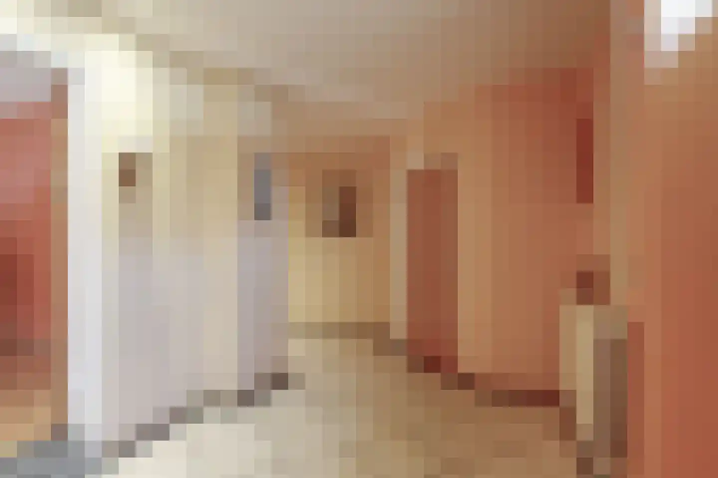 Hoofdstraat 20 Herten thumbnail 8