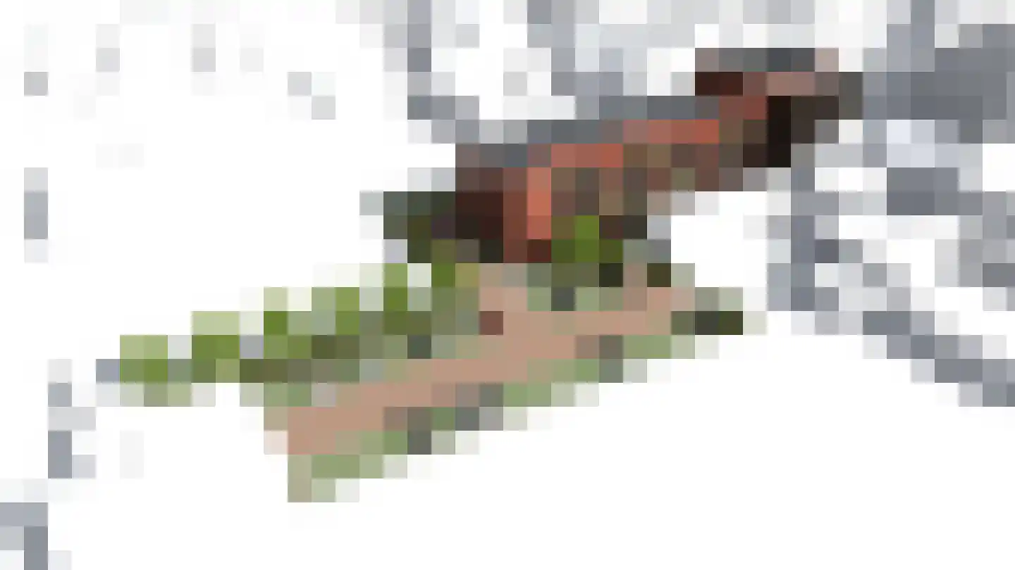 Hoofdstraat 20 Kerkrade thumbnail 10