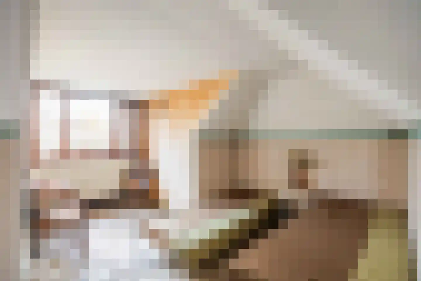 Hoofdstraat 20 Niekerk thumbnail 32