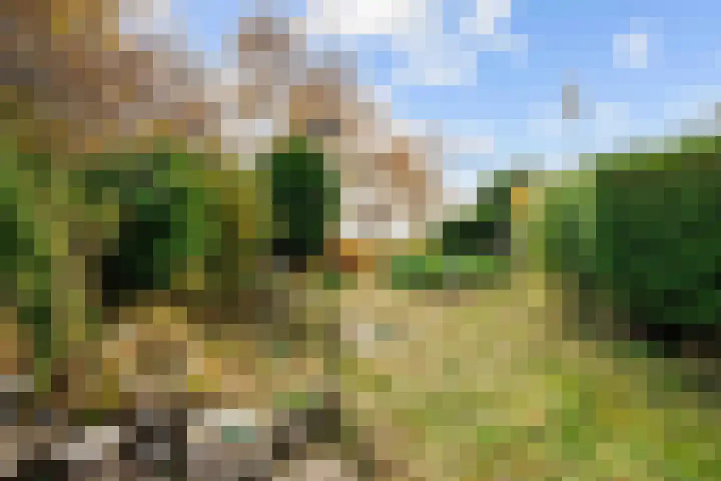 Hoofdstraat 20 Niekerk thumbnail 37