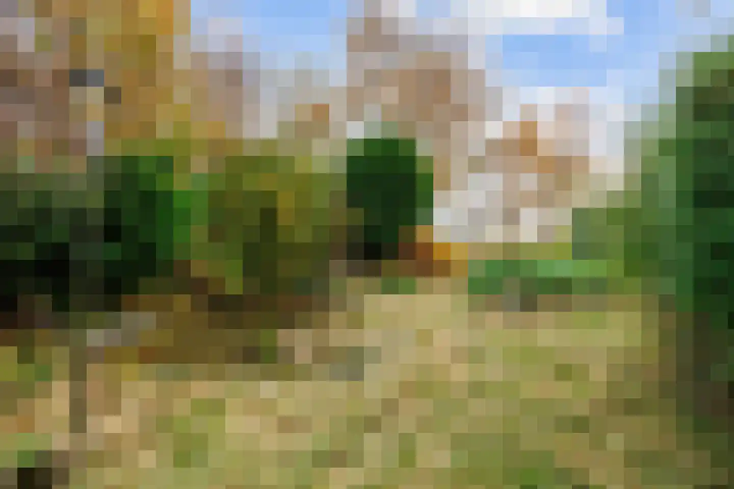 Hoofdstraat 20 Niekerk thumbnail 38