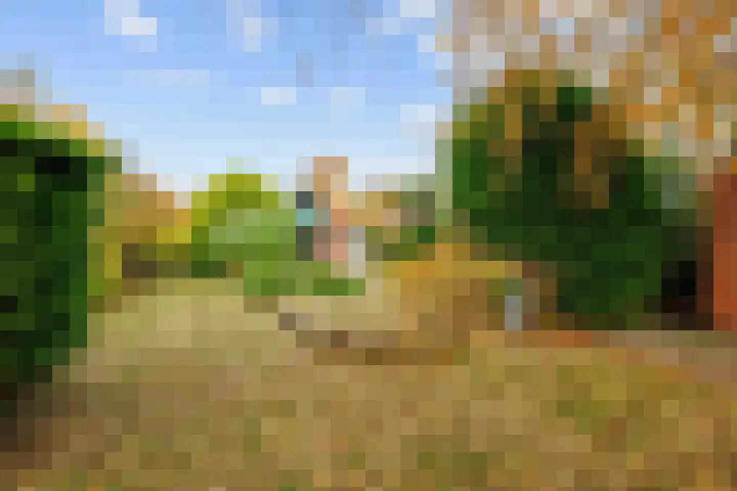 Hoofdstraat 20 Niekerk thumbnail 40