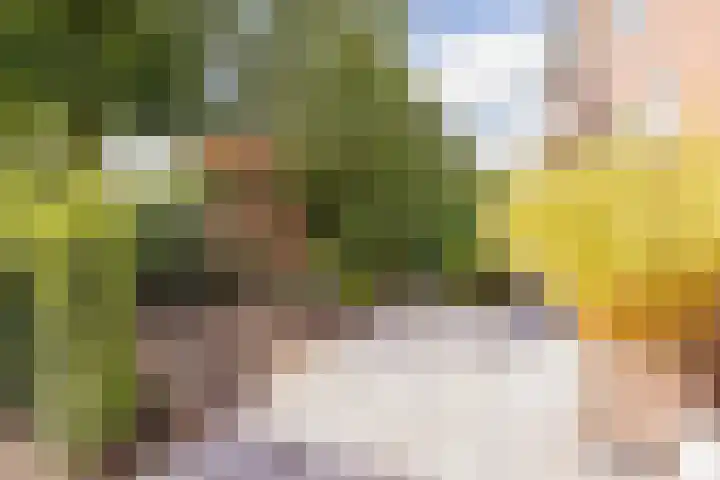 Hoofdstraat 20 Santpoort-Noord thumbnail 4
