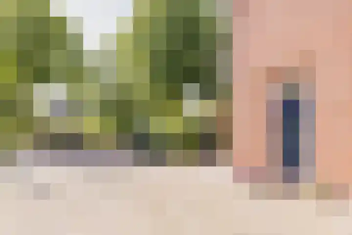 Hoofdstraat 20 Santpoort-Noord thumbnail 5