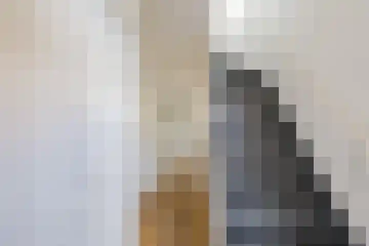 Hoofdstraat 20 Santpoort-Noord thumbnail 6