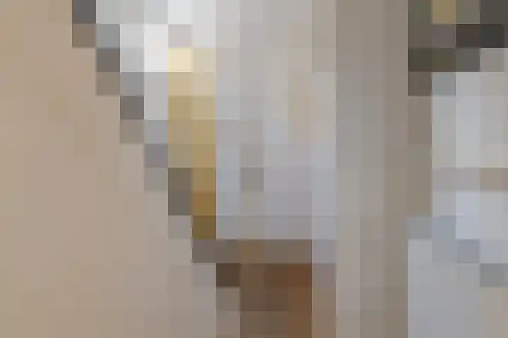 Hoofdstraat 20 Santpoort-Noord thumbnail 8
