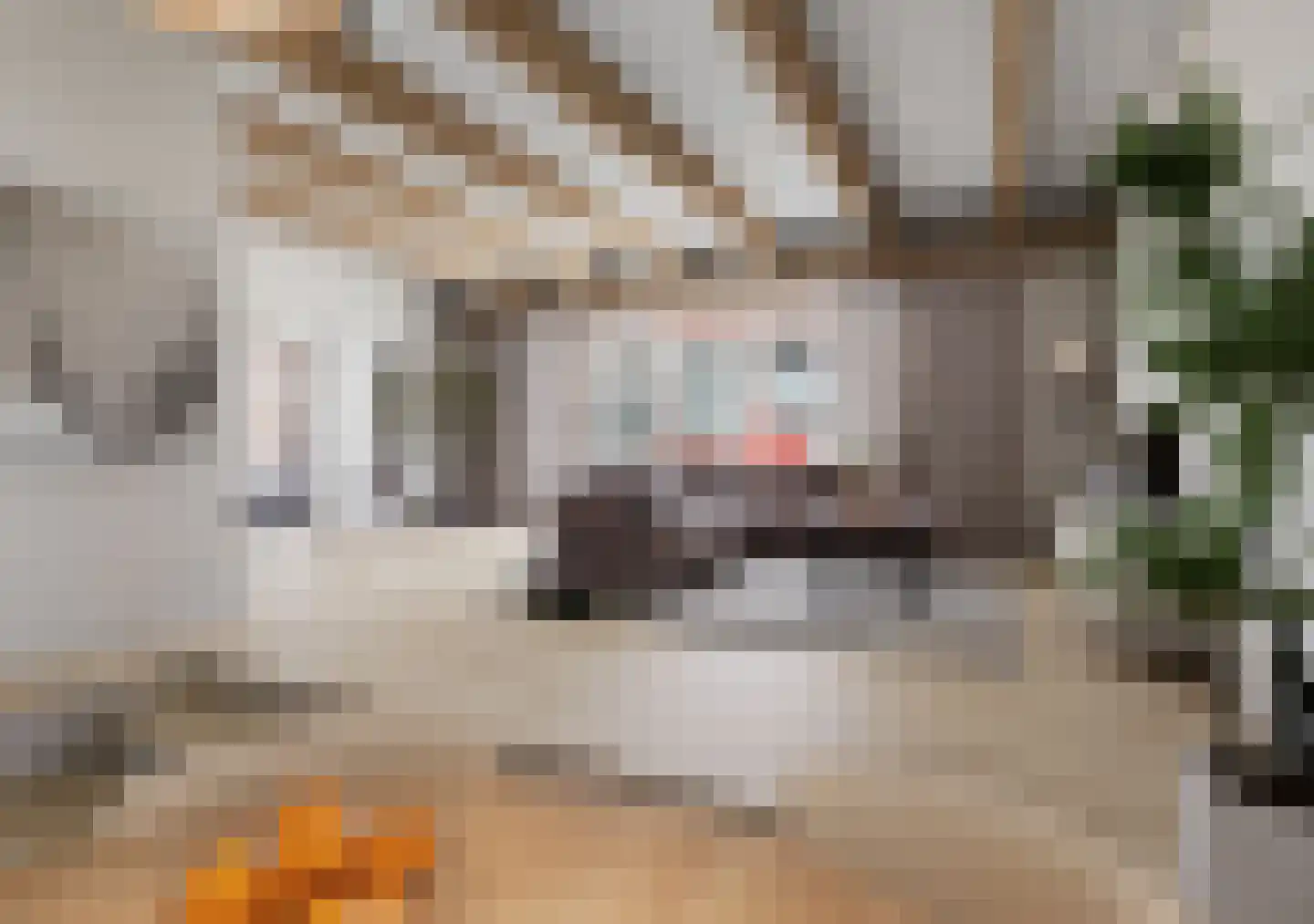 Hoofdstraat 20 Stedum thumbnail 36