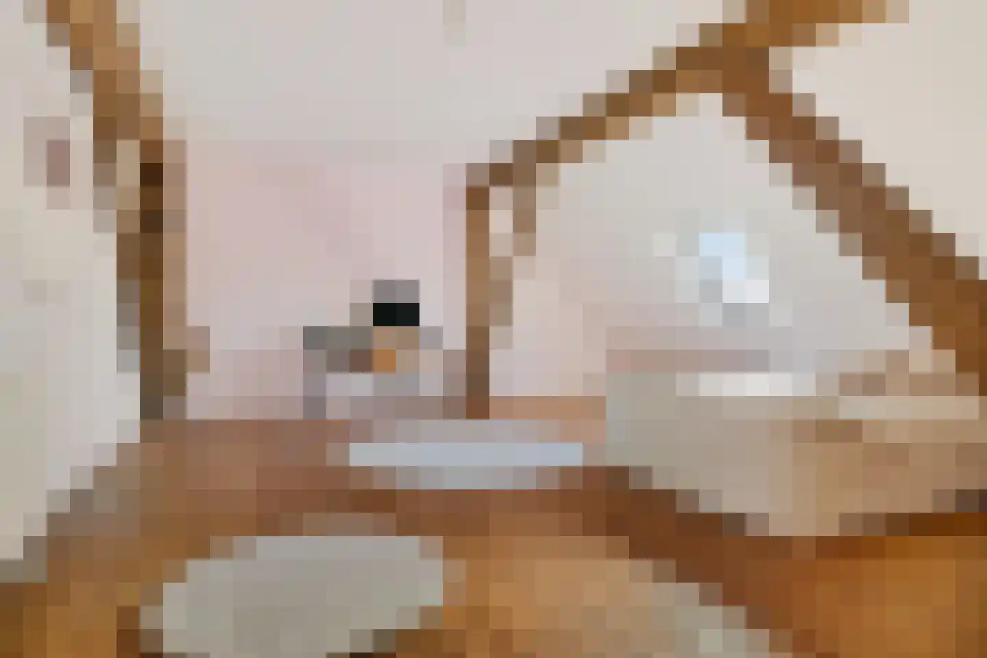 Hoofdstraat 20 Stedum thumbnail 4