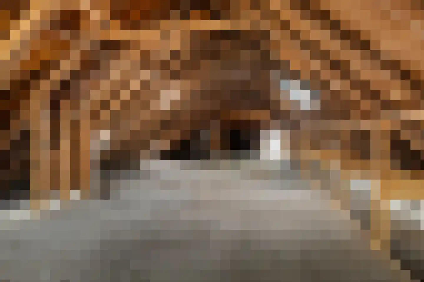 Hoofdstraat 20 Stedum thumbnail 43