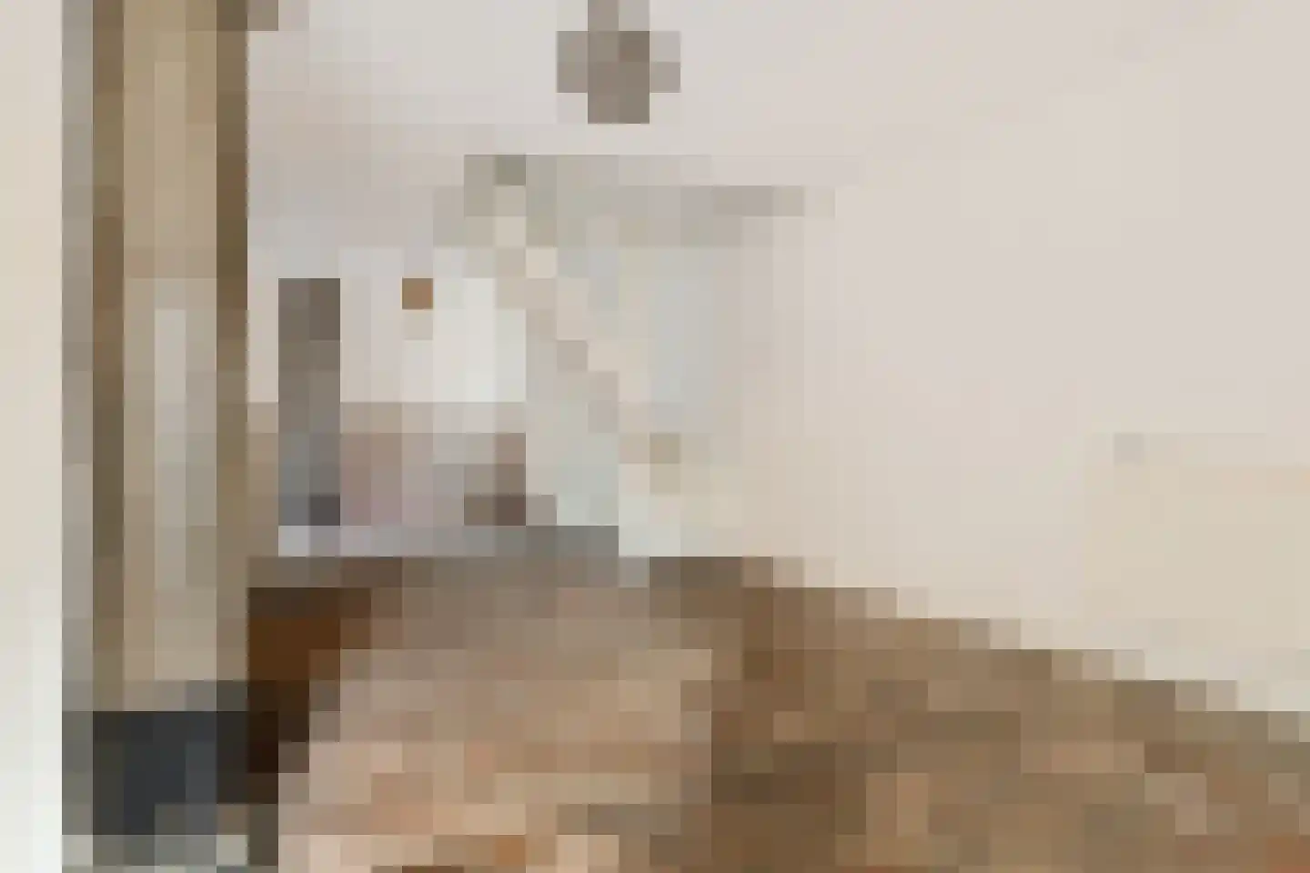 Hoofdstraat 20 Stedum thumbnail 45