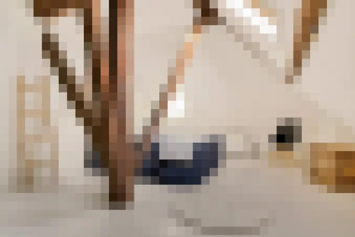 Hoofdstraat 20 Stedum thumbnail 52