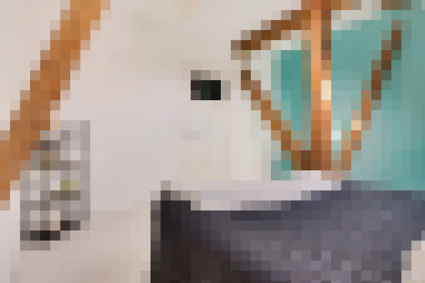 Hoofdstraat 20 Stedum thumbnail 55