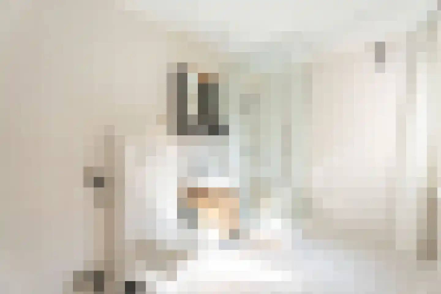 Hoofdstraat 202 b Sassenheim thumbnail 8