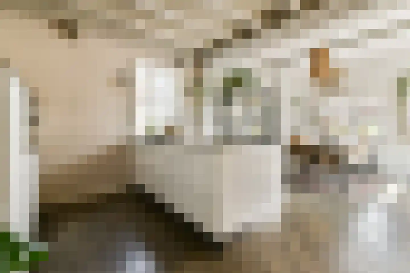Hoofdstraat 206 Leiderdorp thumbnail 10
