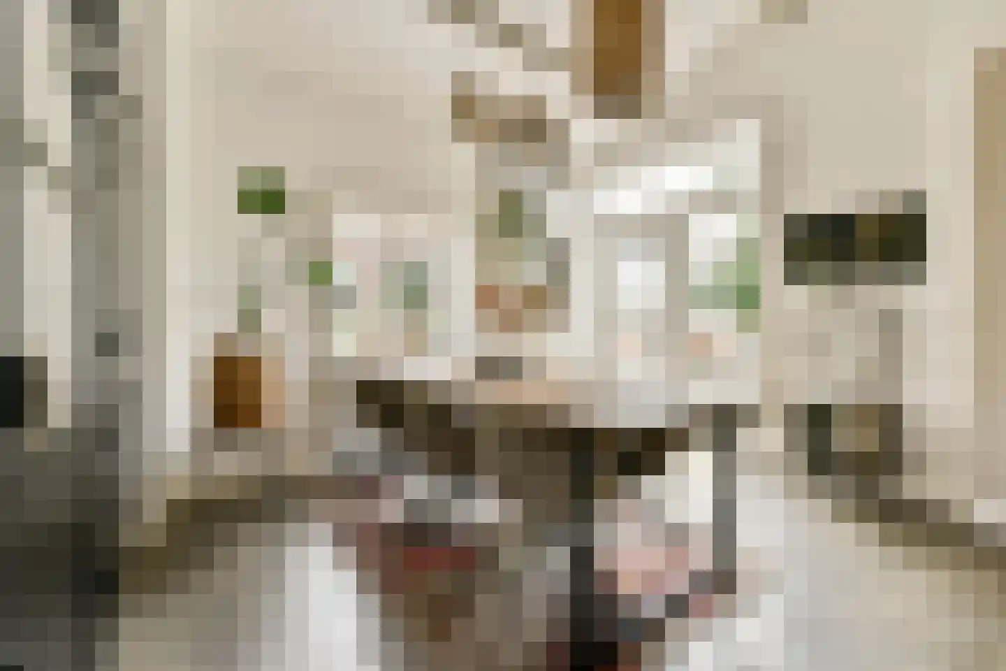 Hoofdstraat 206 Leiderdorp thumbnail 11