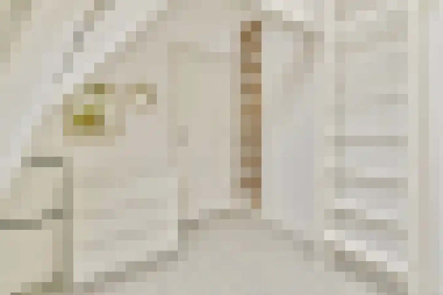 Hoofdstraat 206 Leiderdorp thumbnail 18