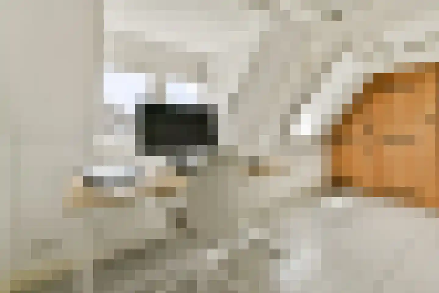 Hoofdstraat 206 Leiderdorp thumbnail 20