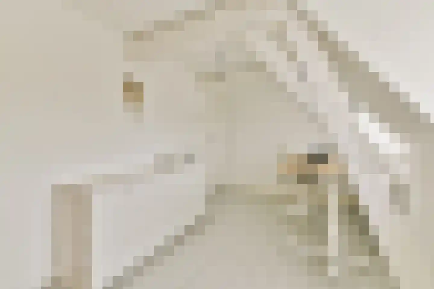 Hoofdstraat 206 Leiderdorp thumbnail 21
