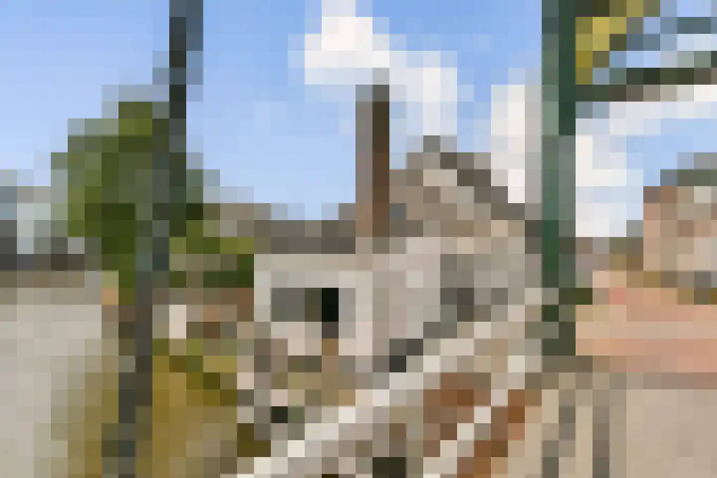 Hoofdstraat 206 Leiderdorp thumbnail 5