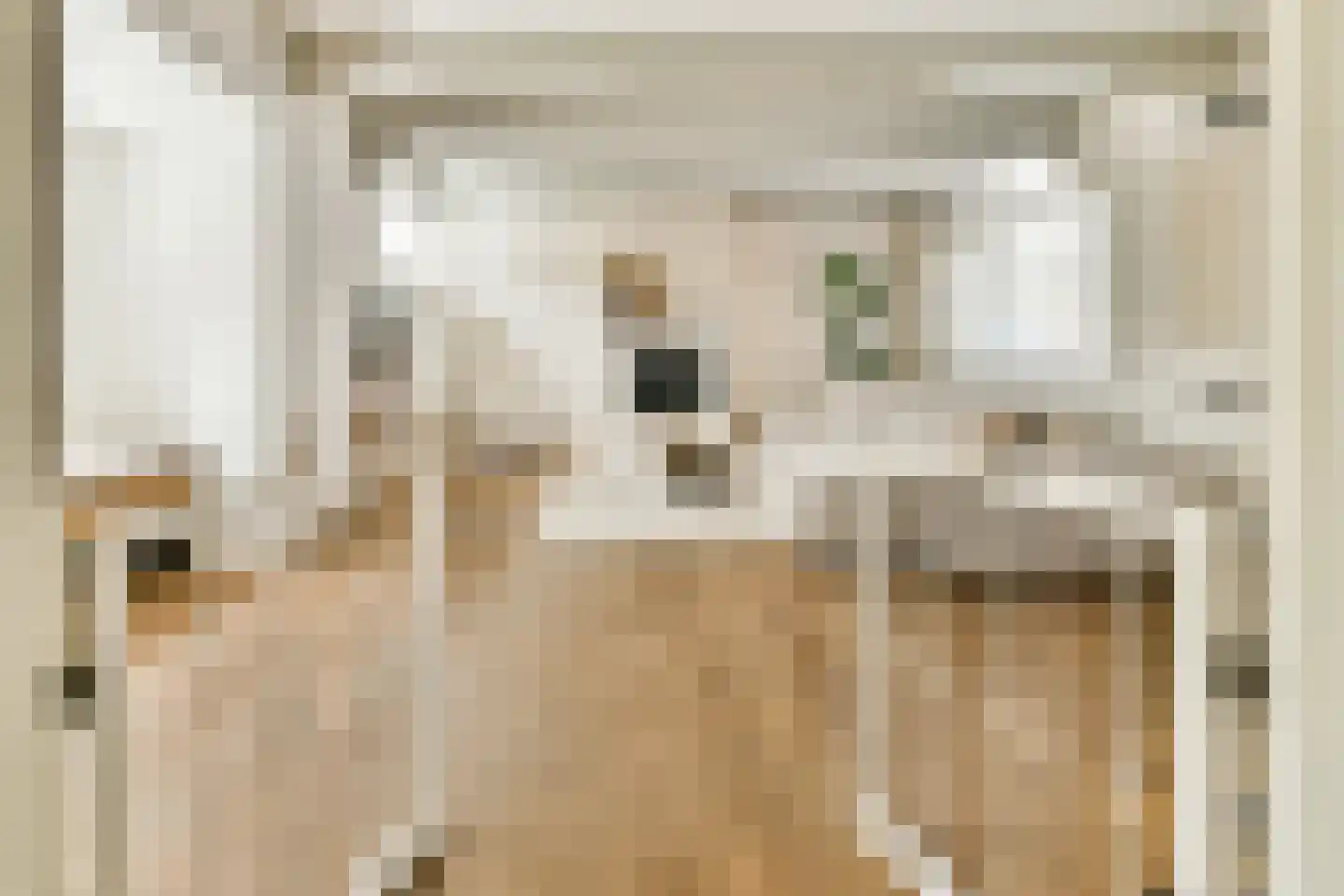 Hoofdstraat 206 Leiderdorp thumbnail 7