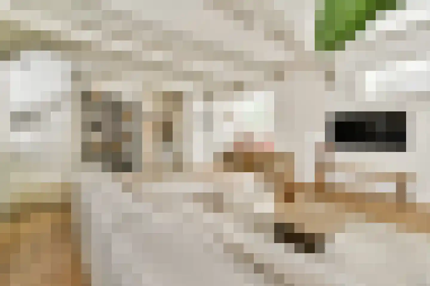 Hoofdstraat 206 Leiderdorp thumbnail 8