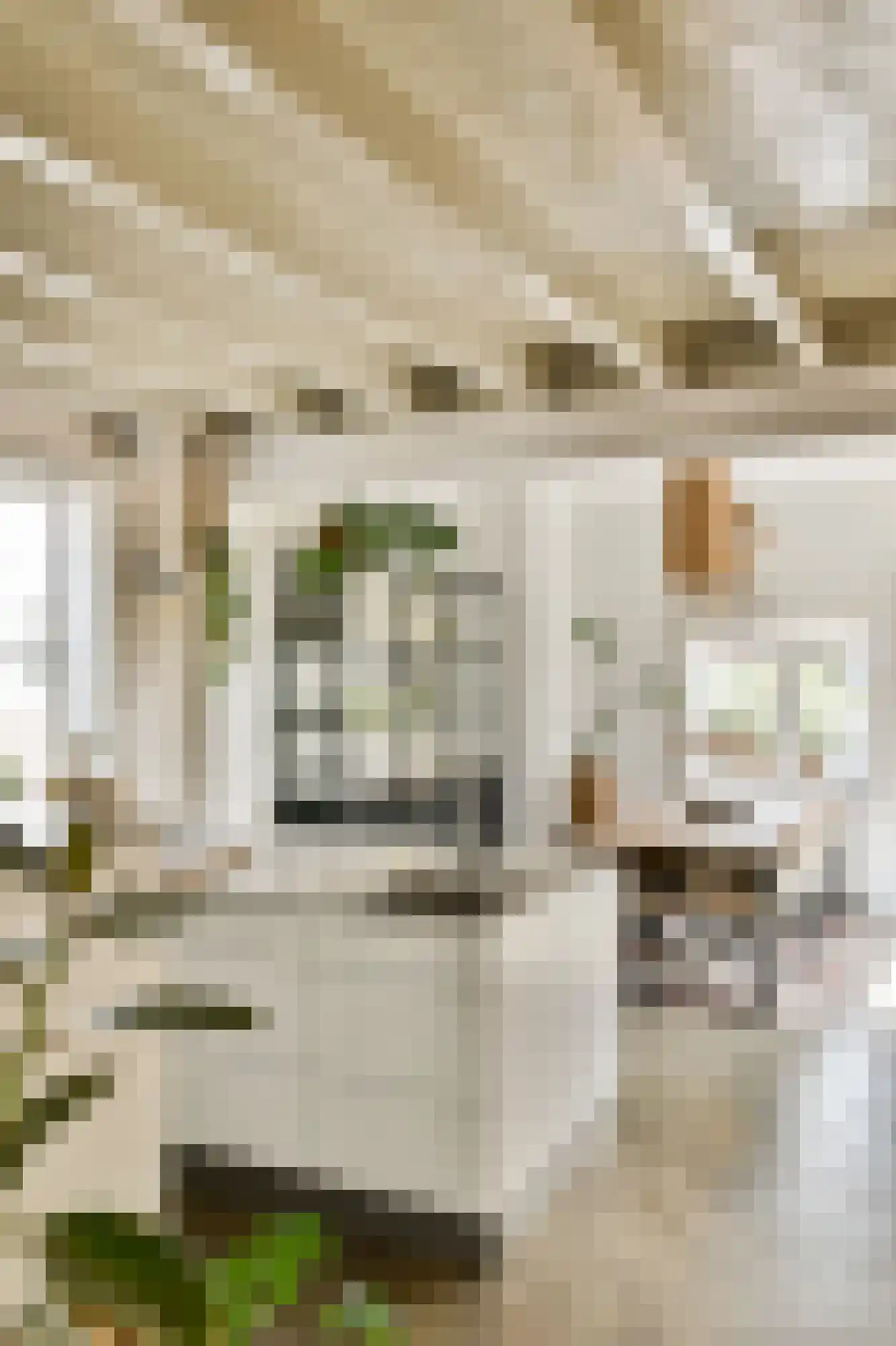 Hoofdstraat 206 Leiderdorp thumbnail 9