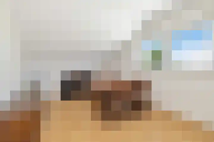 Hoofdstraat 208 Overdinkel thumbnail 29
