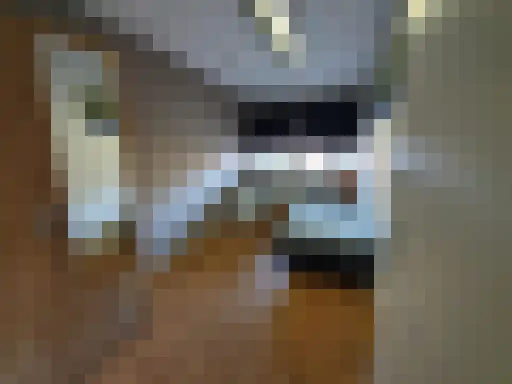 Hoofdstraat 208 Uithuizermeeden thumbnail 6