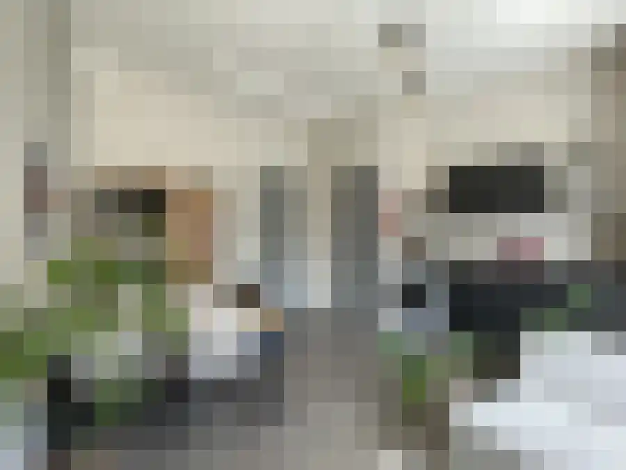 Hoofdstraat 21 Apeldoorn thumbnail 5