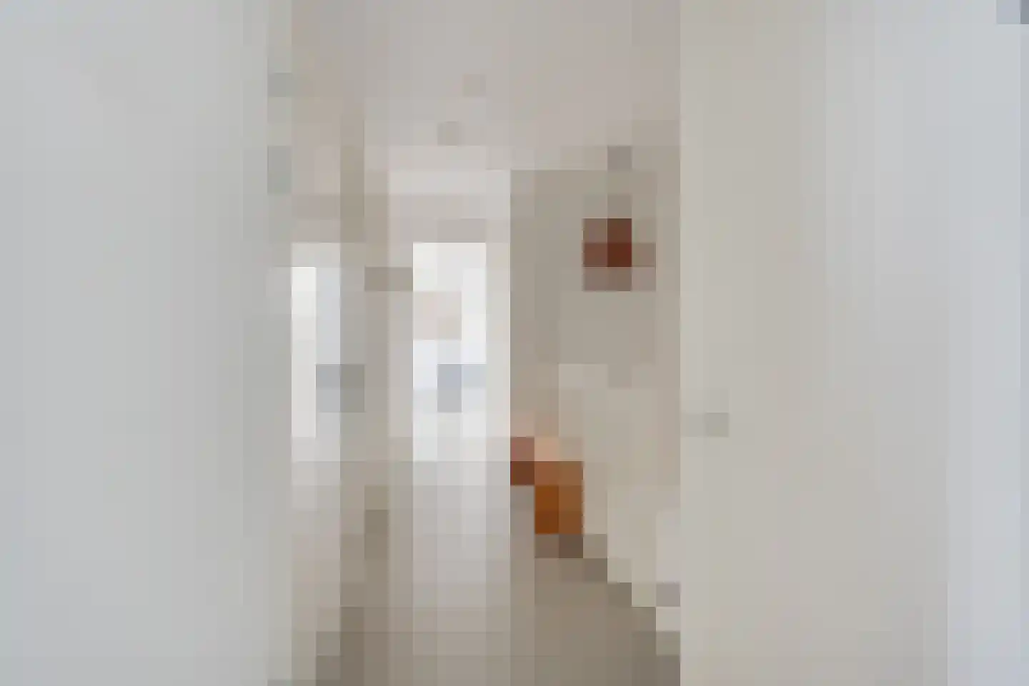 Hoofdstraat 21 Baarn thumbnail 10