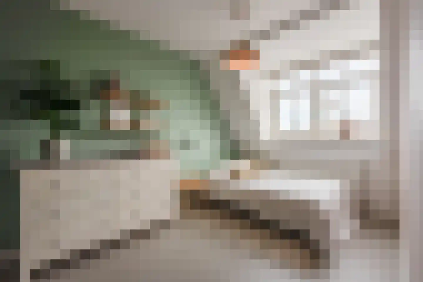 Hoofdstraat 21 Baarn thumbnail 13